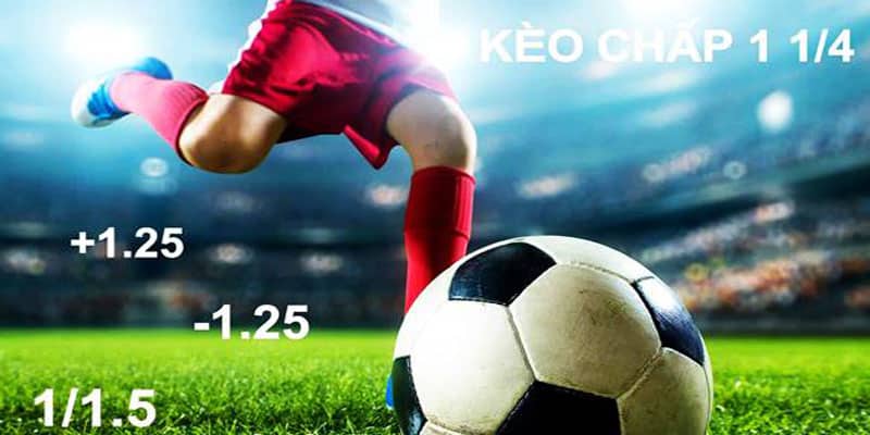 Cách đọc mức kèo Handicap 1 1/4