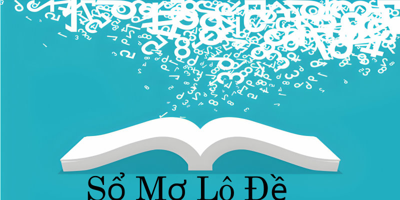 hinh dai dien so mo lo de