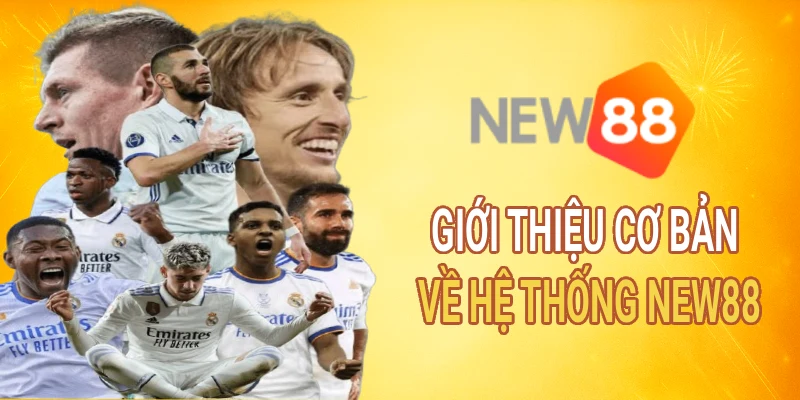 Giới thiệu cơ bản về hệ thống New88